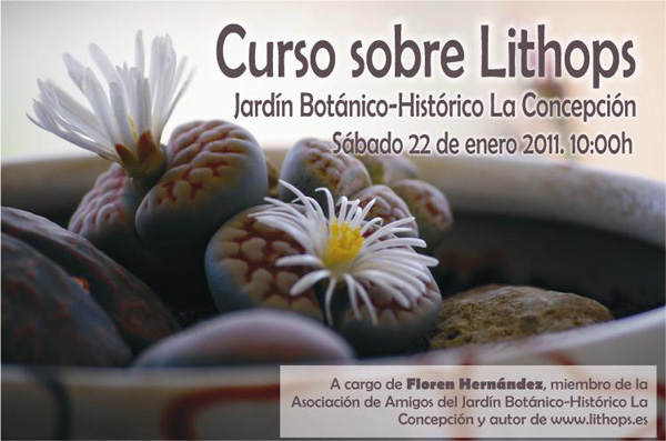 Cartel del curso sobre lithops